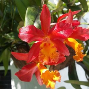 Meet your Posher, Kathi